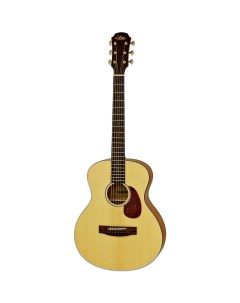 Акустическая гитара 151 MTN Aria