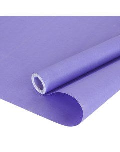 Упаковочная бумага двухсторонняя 17175F Ярко фиолетовый 2 ст 1 шт 0 5х8 23 Дон баллон