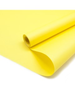 Упаковочная бумага двухсторонняя 17509 желтый 2 ст 1 шт 0 5х8 23 Дон баллон