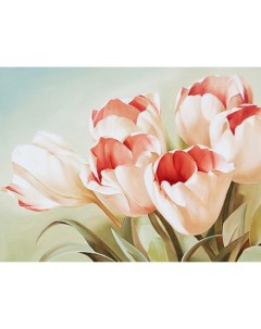 Алмазная мозаика Розовые тюльпаны полн выкладка 30х40 см квадратные стразы Алмазное хобби