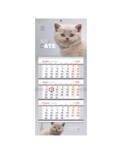 Календарь квартальный Mini premium Пушистый котенок с бегунком 2024г 3шт Officespace
