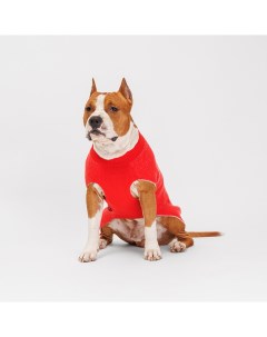 Свитер для собак Merry Christmas 4XL 51 см красный Petmax