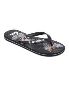 Мужские сланцы Molokai Everyday Paradise Quiksilver