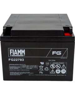 Аккумуляторная батарея Fiamm