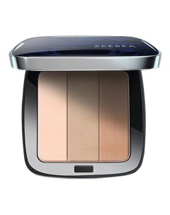 SCULPTING CONCEALER POWDER Пудра для лица скульптурирующая 01 Zeesea