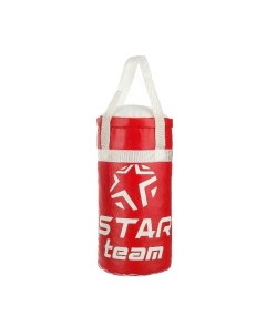 Боксерская груша в сетке 30см IT107819 Star team