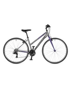 Горный велосипед Thema 2023 серебряный фиолетовый рама 17 Author