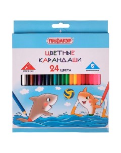 Карандаши цветные Веселые акулята 24 цвета классические заточенные 181818 2шт Пифагор