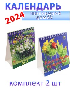 Календарь домик на 2024 год Природа Цветы 2 шт День за днем