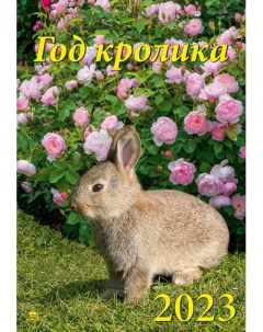 Календарь на 2023 год Год кролика День за днём