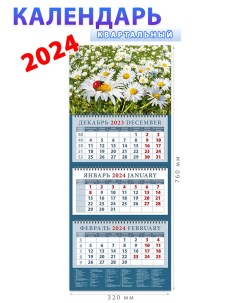 Календарь на 2024 год Ромашки и божья коровка День за днём