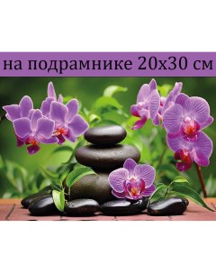 Алмазная мозаика SZX671 орхидеи на подрамнике 20х30 Nobrand