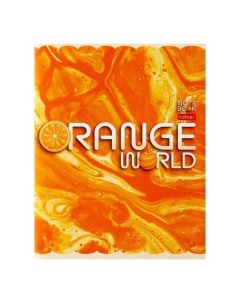 Тетрадь Оранжевый мир 96 листов в клетку в ассортименте 2 штуки Hatber