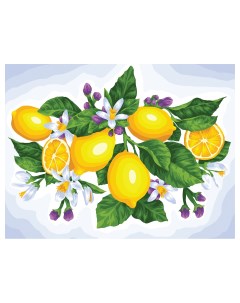Картина по номерам на холсте Лимоны 40 50 с акриловыми красками и кистями Три совы