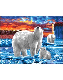 Картина по номерам на холсте Белые медведи 40 50 с акриловыми красками и кистями Три совы