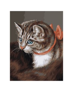 Картина по номерам на холсте Любимая кошка 30 40 с акриловыми красками и кистями Три совы
