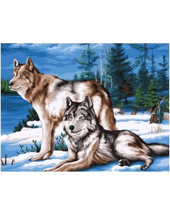 Картина по номерам на холсте Волчья семья 40 50 с акриловыми красками и кистями Три совы