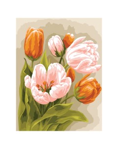 Картина по номерам на картоне Тюльпаны 30 40 с акриловыми красками и кистями Три совы