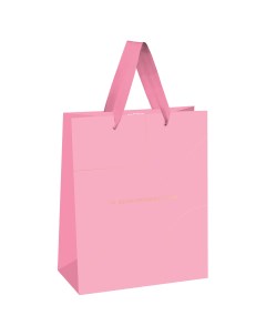Пакет подарочный Monocolor Pink отд фольгой матовая ламинация 33х42х12см 2шт Meshu