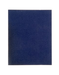 Тетрадь 96 листов клетка Синяя обложка бумвинил Hatber
