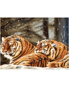 Картина по номерам на холсте Тигриная любовь 40 50 с акриловыми красками Три совы