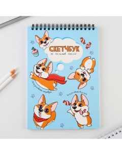 Скетчбук а5 40 л 100 г м2 Artfox