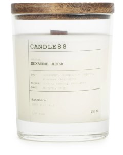 Свеча ароматическая Дыхание леса Candle88