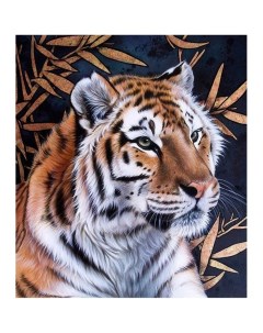 Картина по номерам Тигр 30х30 см Котеин