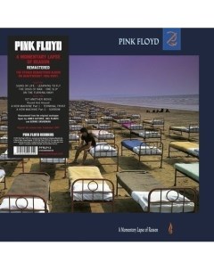 Виниловая пластинка Pink Floyd A Momentary Lapse Of Reason LP Республика