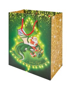 Пакет подарочный Дед Мороз 22 9x17 8 см цвет разноцветный Без бренда