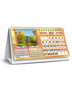 Календарь настольный Символ 2020 года домик 195 х 170 мм Nd play