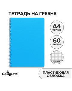Тетрадь на гребне a4 60 листов в клетку голубая пластиковая обложка блок офсет Calligrata
