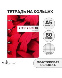 Тетрадь на кольцах в клетку 80 листов coopybook vivamagenta пластиковая обложка блок офсет Calligrata