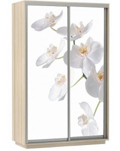 Шкаф купе 2 х дверный Экспресс Хит фото Белая орхидея Ясень шимо светлый 1200 Bravo