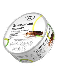 Корм для рептилий туркменский таракан 12 шт по 40 гр Onto