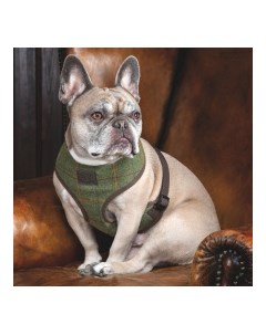 SHIRES Твидовая шлейка для собак Шерлок Холмс XS 30 44см Великобритания Digby & fox