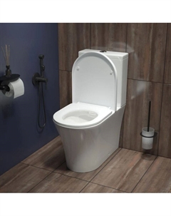 Унитаз-компакт Stone STNRDSEi24 глянцевый белый, с крышкой микролифт Iddis
