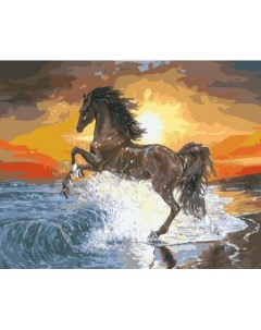 Картина по номерам ярких идей Конь на закате GX7838 Цветной мир