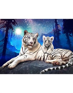 Алмазная мозаика Тигры в ночи Полная выкладка 40х50 см квадратные стразы Алмазное хобби