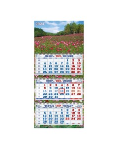 Календарь настенный трехблочный квартальный с курсором на трех гребнях 31 х 68 см Дитон