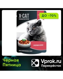 Влажный корм для стерилизованных кошек X CAT Говядина в соусе 85г упаковка 24 шт Ип михайлова м.в.