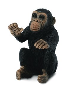 Детёныш шимпанзе S Collecta
