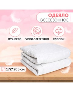 Одеяло Сибирский гусь 172 205 Kariguz