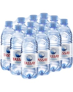 Питьевая вода негазированная ПЭТ 12 шт по 0 5 л Tassay