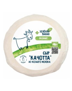 Сыр полутвердый Качотта 45 БЗМЖ 220 г Зеленая линия