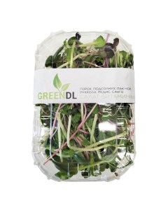 Микрозелень салата витаминного 51 г Greendl