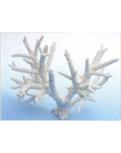 Коралл для аквариума белый 26х15х18 см Vitality