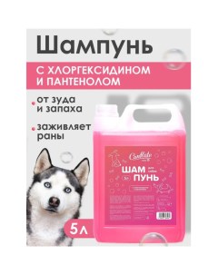 Шампунь для собак с хлоргексидином 5 л Conflate