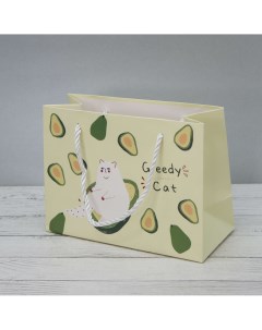 Пакет подарочный Greedy cat avocado 5505XS 01 XS зеленый Mikirei