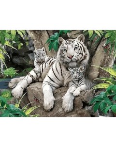 Алмазная мозаика 40x50 Белые тигры TCH8451 Boomboomshop